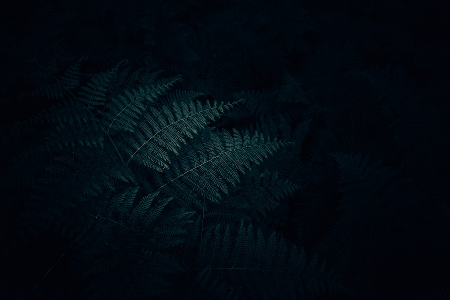Five Ways To Improve Your Image Quality